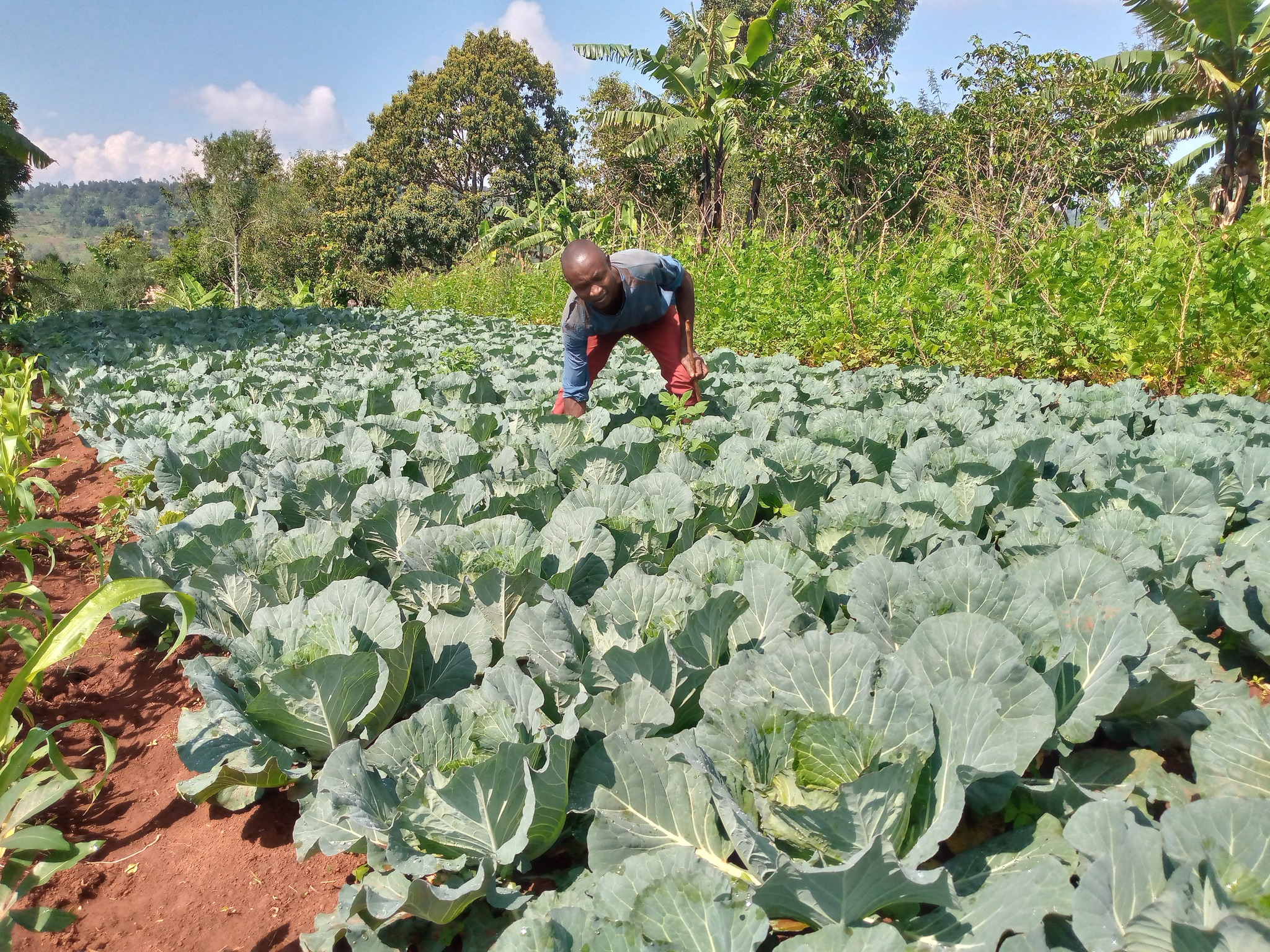 Membre de la coop TURYOHOREISI